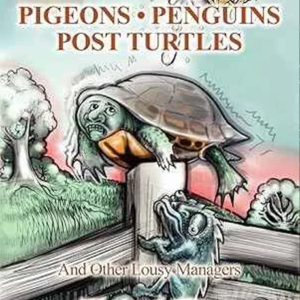 Pigeons Penguins Post Turtles